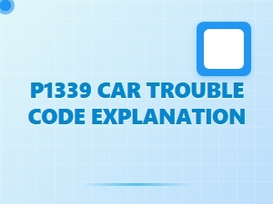 P1339 Code Explanation and Common Causes